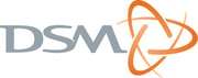 DSM_Logo.jpg